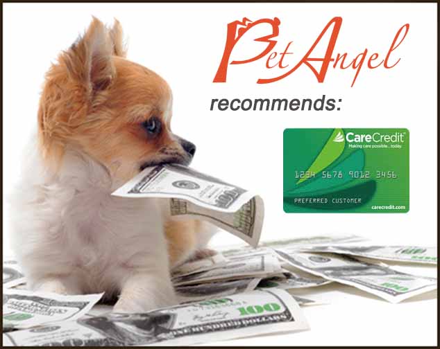 Pet Angel Santa Fe, CareCredit card