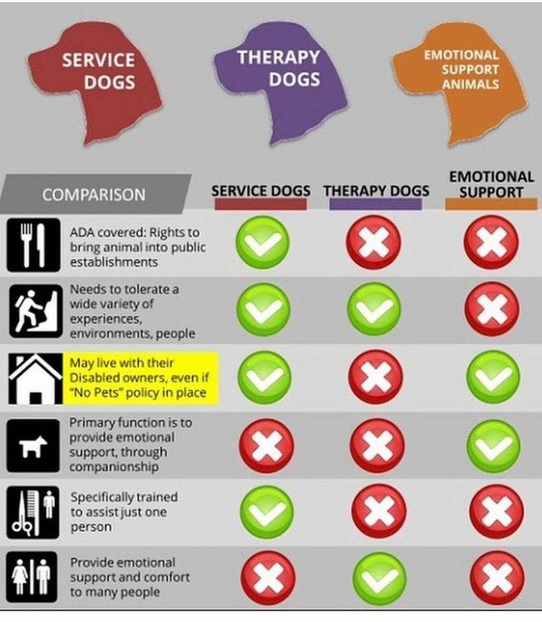 chart shows service dog vs. therapy emotional support dog